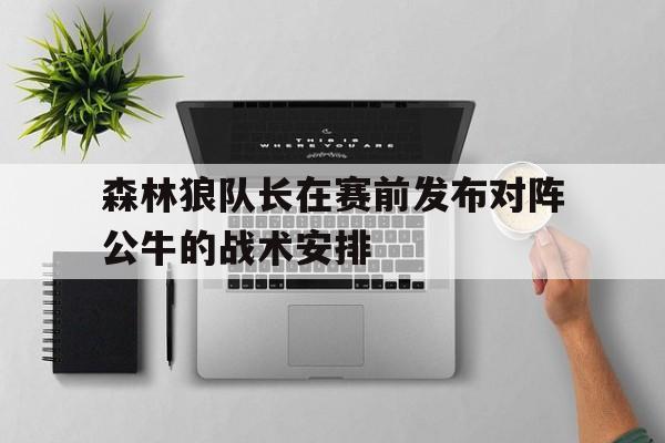 森林狼队长在赛前发布对阵公牛的战术安排